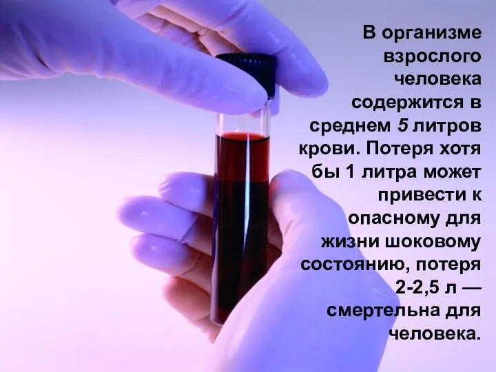 В организме взрослого человека содержится в среднем 5 литров крови. Потеря хотя