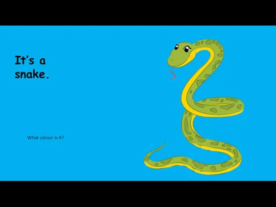It’s a snake. What colour is it?