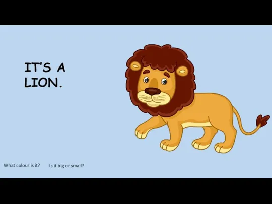 IT’S A LION. What colour is it? Is it big or small?
