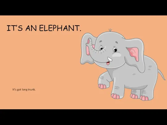 IT’S AN ELEPHANT. It’s got long trunk.