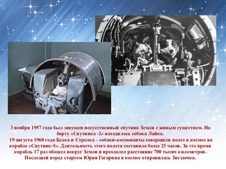 3 ноября 1957 года был запущен искусственный спутник Земли с живым существом.