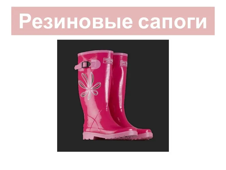 Резиновые сапоги