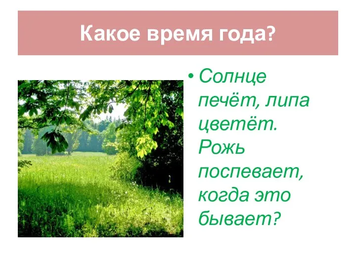 Какое время года? Солнце печёт, липа цветёт. Рожь поспевает, когда это бывает?