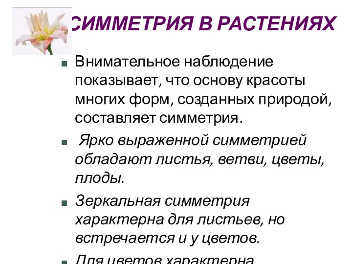 СИММЕТРИЯ В РАСТЕНИЯХ Внимательное наблюдение показывает, что основу красоты многих форм, созданных