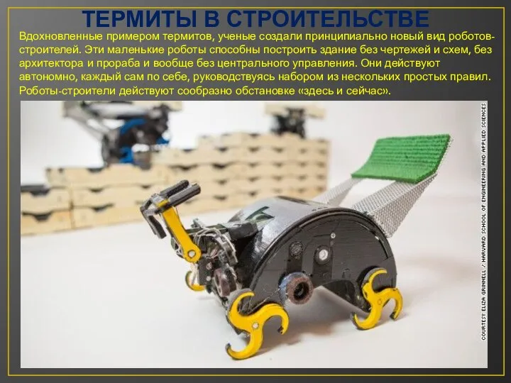ТЕРМИТЫ В СТРОИТЕЛЬСТВЕ Вдохновленные примером термитов, ученые создали принципиально новый вид роботов-строителей.