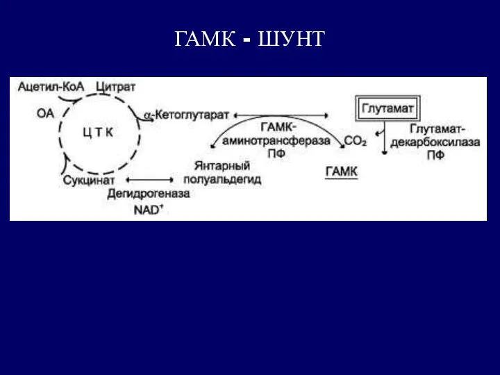 ГАМК - ШУНТ