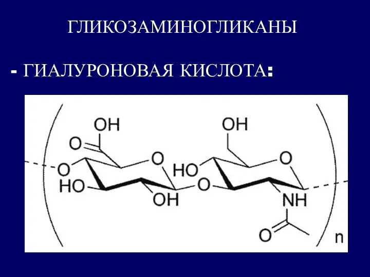 ГЛИКОЗАМИНОГЛИКАНЫ - ГИАЛУРОНОВАЯ КИСЛОТА: