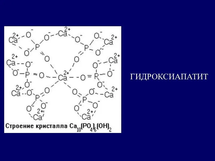 ГИДРОКСИАПАТИТ