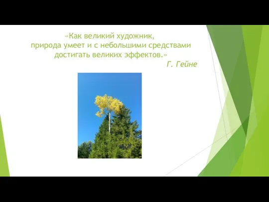 «Как великий художник, природа умеет и с небольшими средствами достигать великих эффектов.» Г. Гейне