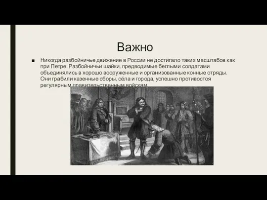 Важно Никогда разбойничье движение в России не достигало таких масштабов как при