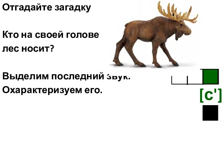 Отгадайте загадку Кто на своей голове лес носит? Выделим последний звук. Охарактеризуем его. [с']