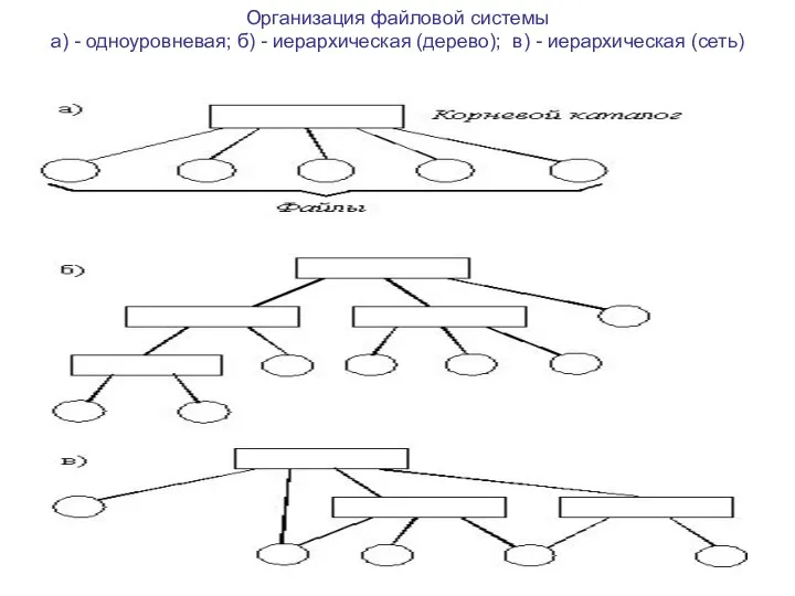 Организация файловой системы а) - одноуровневая; б) - иерархическая (дерево); в) - иерархическая (сеть)