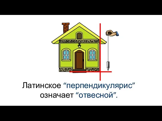 Латинское “перпендикулярис” означает “отвесной”.