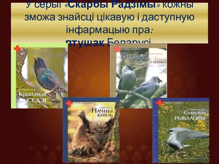 У серыі «Скарбы Радзімы» кожны зможа знайсці цікавую і даступную інфармацыю пра: птушак Беларусі,