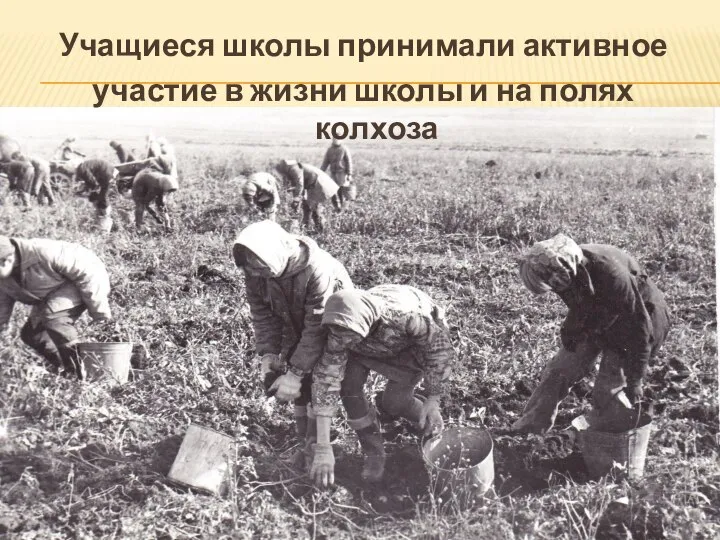 Учащиеся школы принимали активное участие в жизни школы и на полях колхоза