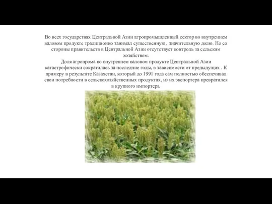 Во всех государствах Центральной Азии агропромышленный сектор во внутреннем валовом продукте традиционно