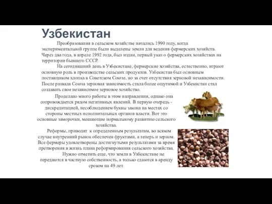 Преобразования в сельском хозяйстве начались 1990 году, когда экспериментальной группе были выделены