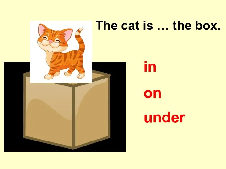 The cat is … the box. in on under