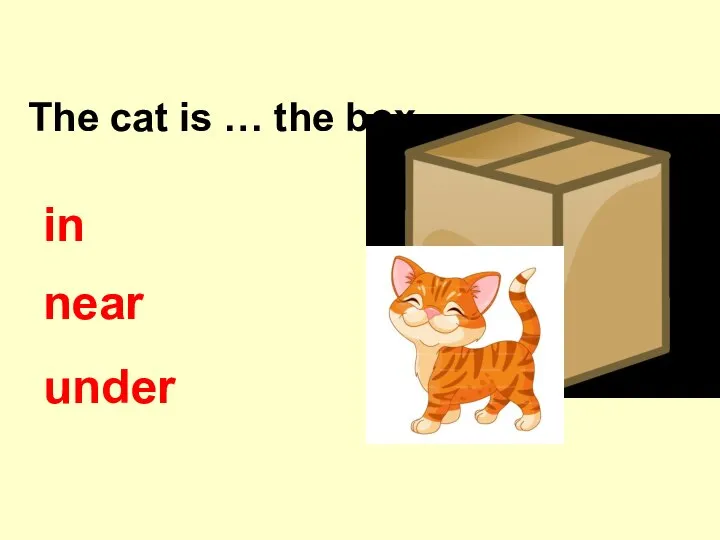 The cat is … the box. in near under