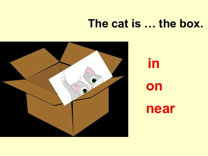 The cat is … the box. on near in