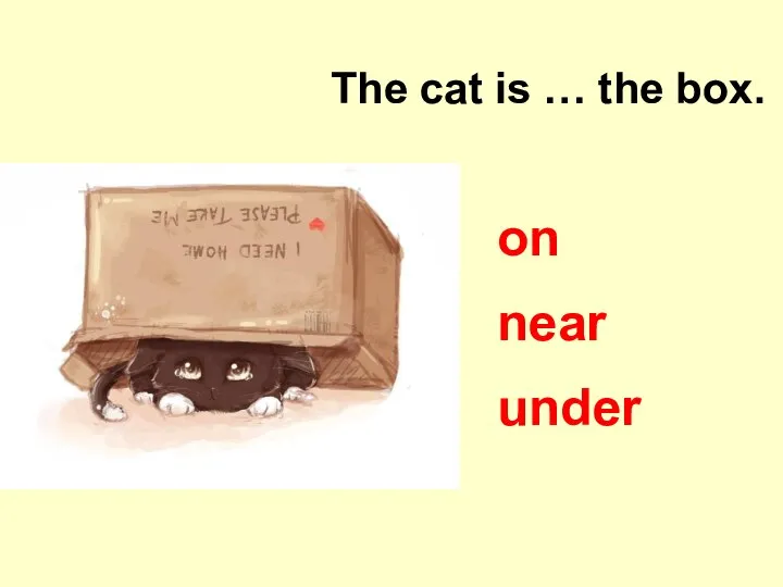 under The cat is … the box. on near