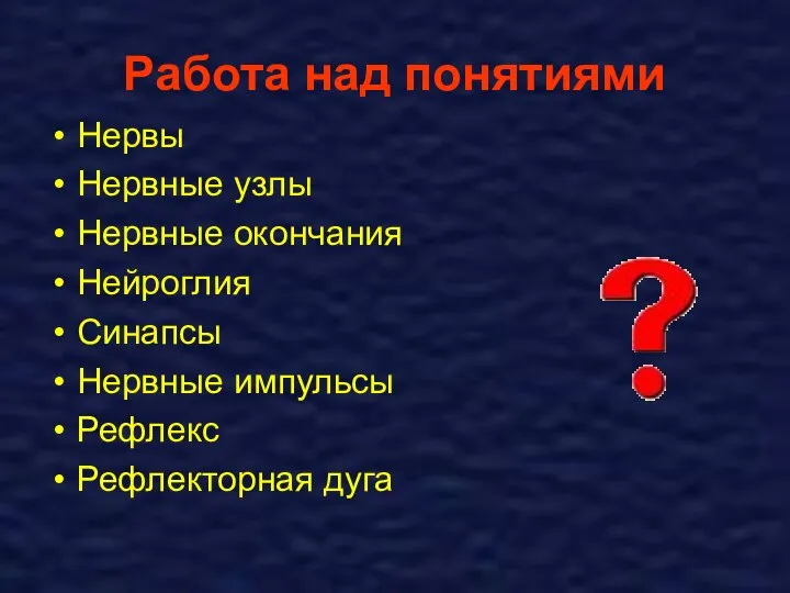 Работа над понятиями Нервы Нервные узлы Нервные окончания Нейроглия Синапсы Нервные импульсы Рефлекс Рефлекторная дуга