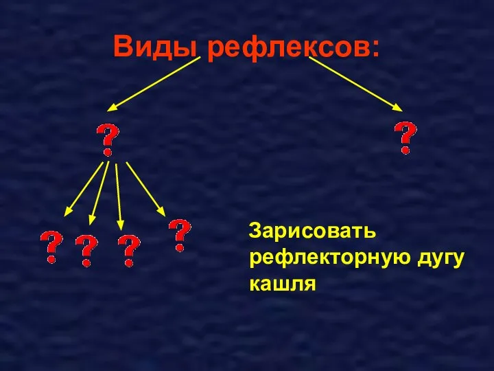 Виды рефлексов: Зарисовать рефлекторную дугу кашля