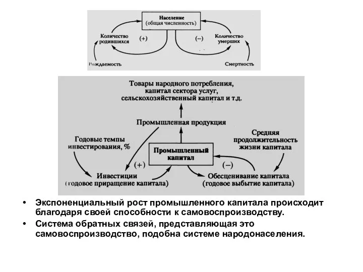 Экспоненциальный рост промышленного капитала происходит благодаря своей способности к самовоспроизводству. Система обратных