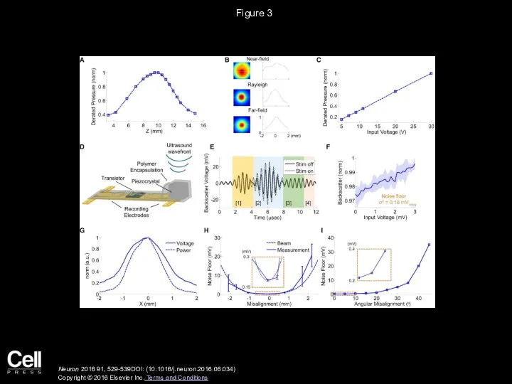 Figure 3 Neuron 2016 91, 529-539DOI: (10.1016/j.neuron.2016.06.034) Copyright © 2016 Elsevier Inc. Terms and Conditions