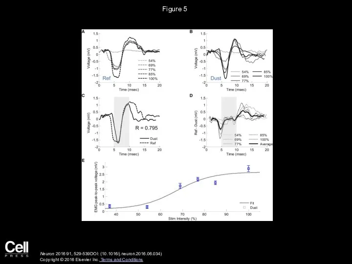 Figure 5 Neuron 2016 91, 529-539DOI: (10.1016/j.neuron.2016.06.034) Copyright © 2016 Elsevier Inc. Terms and Conditions