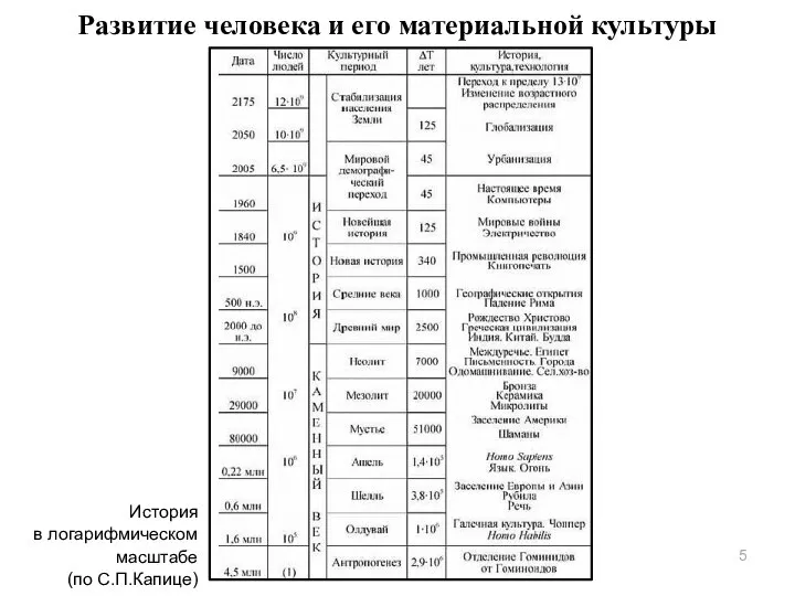 Развитие человека и его материальной культуры История в логарифмическом масштабе (по С.П.Капице)