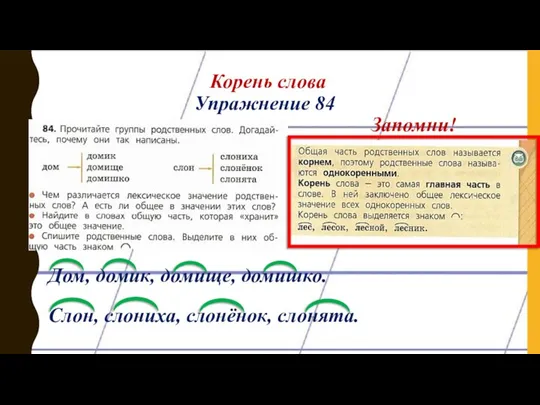 Корень слова Упражнение 84 Дом, домик, домище, домишко. Слон, слониха, слонёнок, слонята. Запомни!