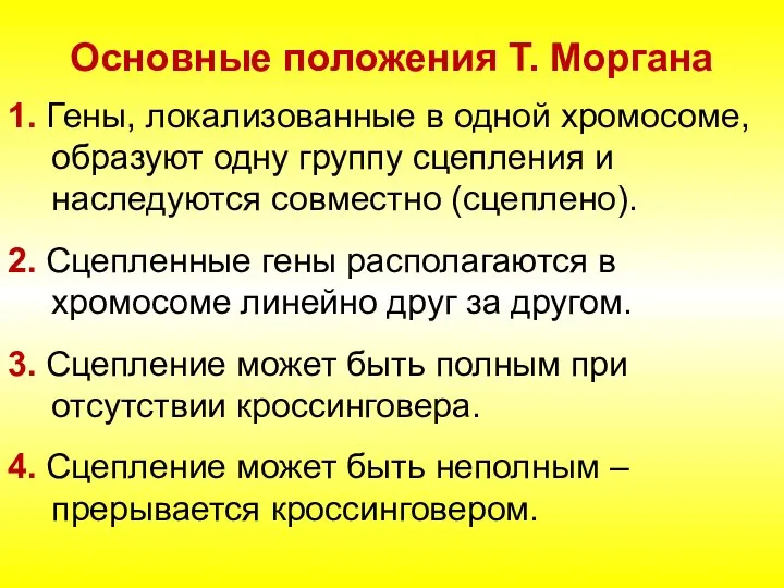 Основные положения Т. Моргана 1. Гены, локализованные в одной хромосоме, образуют одну