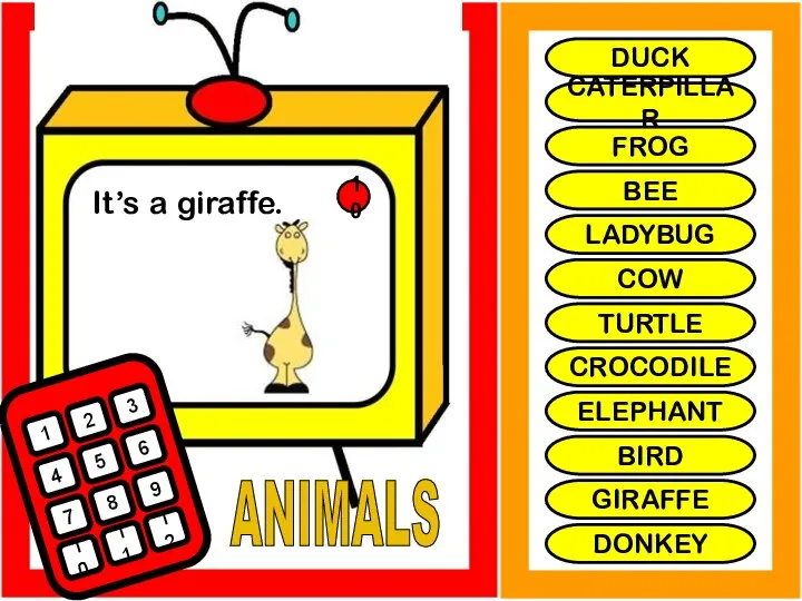 ANIMALS It’s a giraffe. 1 2 3 4 5 6 7 8