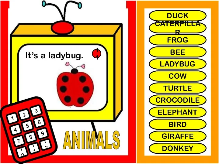 ANIMALS It’s a ladybug. 1 2 3 4 5 6 7 8
