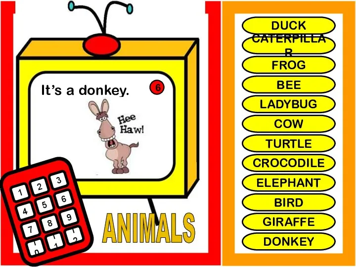 ANIMALS It’s a donkey. 1 2 3 4 5 6 7 8