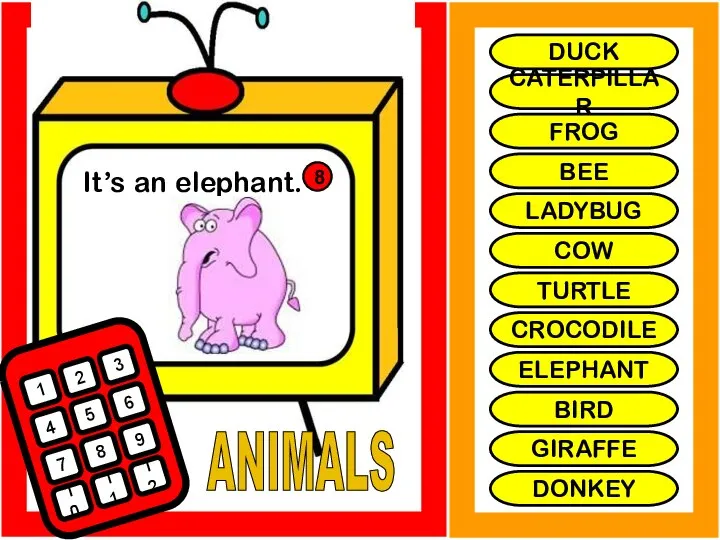 ANIMALS It’s an elephant. 1 2 3 4 5 6 7 8