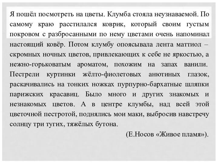 Я пошёл посмотреть на цветы. Клумба стояла неузнаваемой. По самому краю расстилался