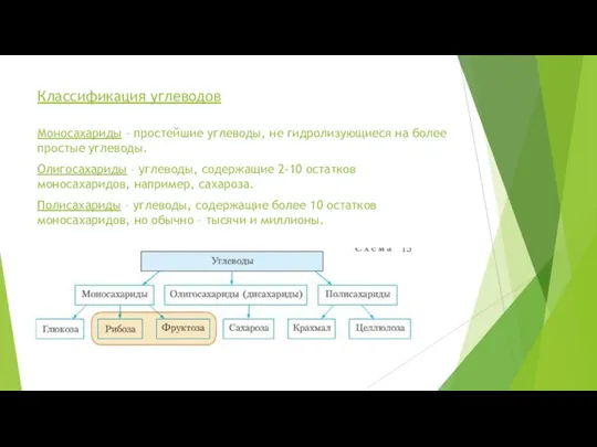 Классификация углеводов Моносахариды – простейшие углеводы, не гидролизующиеся на более простые углеводы.