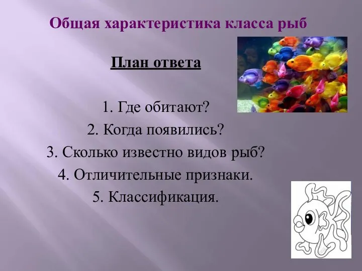 План ответа 1. Где обитают? 2. Когда появились? 3. Сколько известно видов