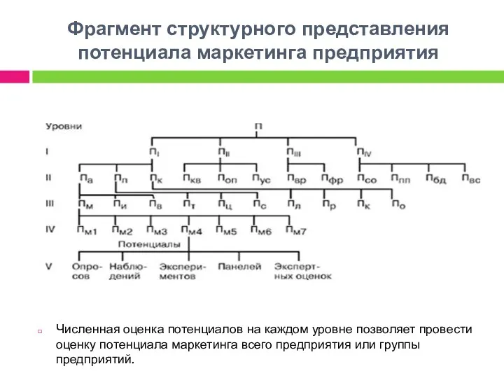 Фрагмент структурного представления потенциала маркетинга предприятия Численная оценка потенциалов на каждом уровне