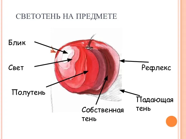 СВЕТОТЕНЬ НА ПРЕДМЕТЕ Блик Свет Полутень Собственная тень Рефлекс Падающая тень