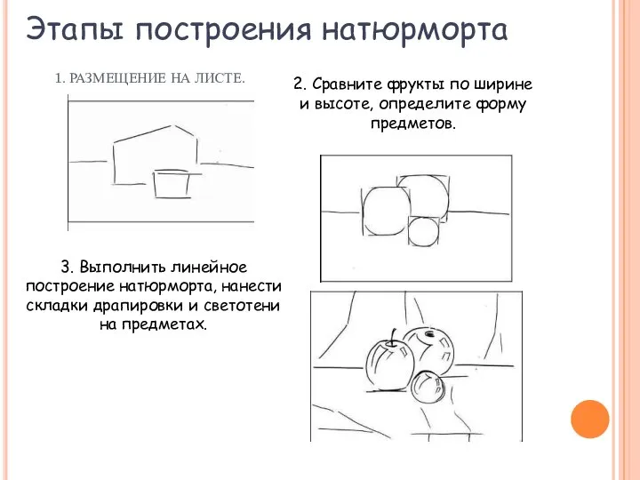 1. РАЗМЕЩЕНИЕ НА ЛИСТЕ. 2. Сравните фрукты по ширине и высоте, определите