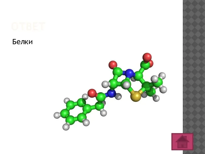 ОТВЕТ Белки
