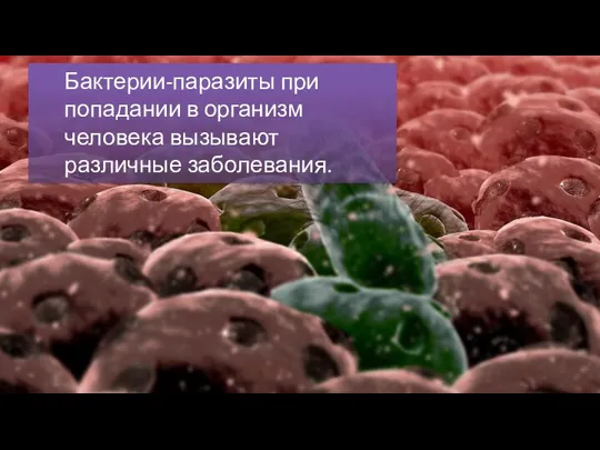 Бактерии-паразиты при попадании в организм человека вызывают различные заболевания.
