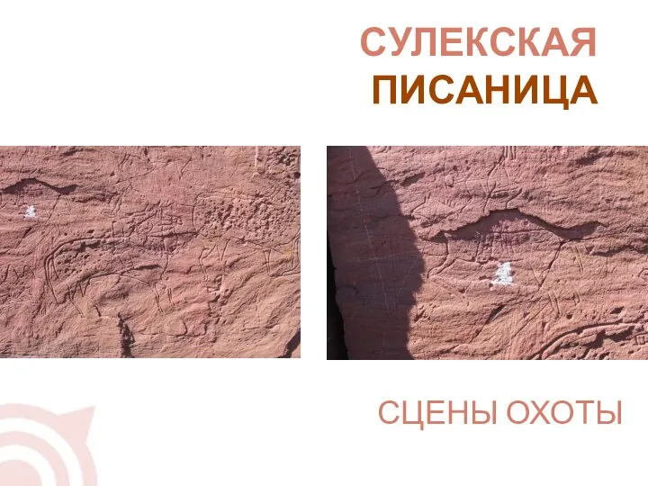 СУЛЕКСКАЯ ПИСАНИЦА СЦЕНЫ ОХОТЫ