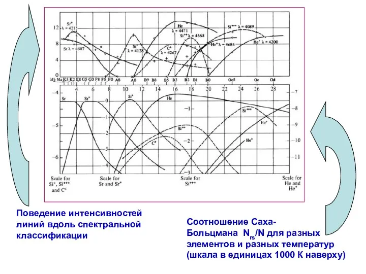 Поведение интенсивностей линий вдоль спектральной классификации Соотношение Саха- Больцмана Nrs/N для разных