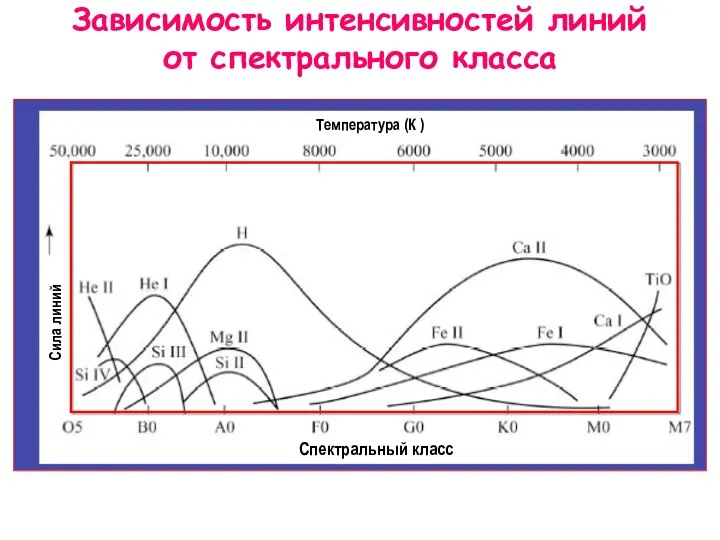 Температура (К ) Спектральный класс Сила линий Зависимость интенсивностей линий от спектрального класса