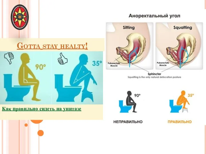 Как правильно сидеть на унитазе Gotta stay healty!