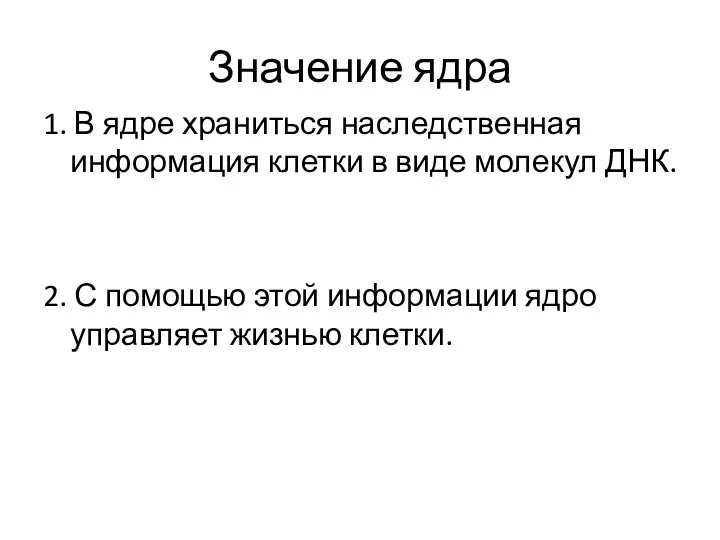 Значение ядра 1. В ядре храниться наследственная информация клетки в виде молекул